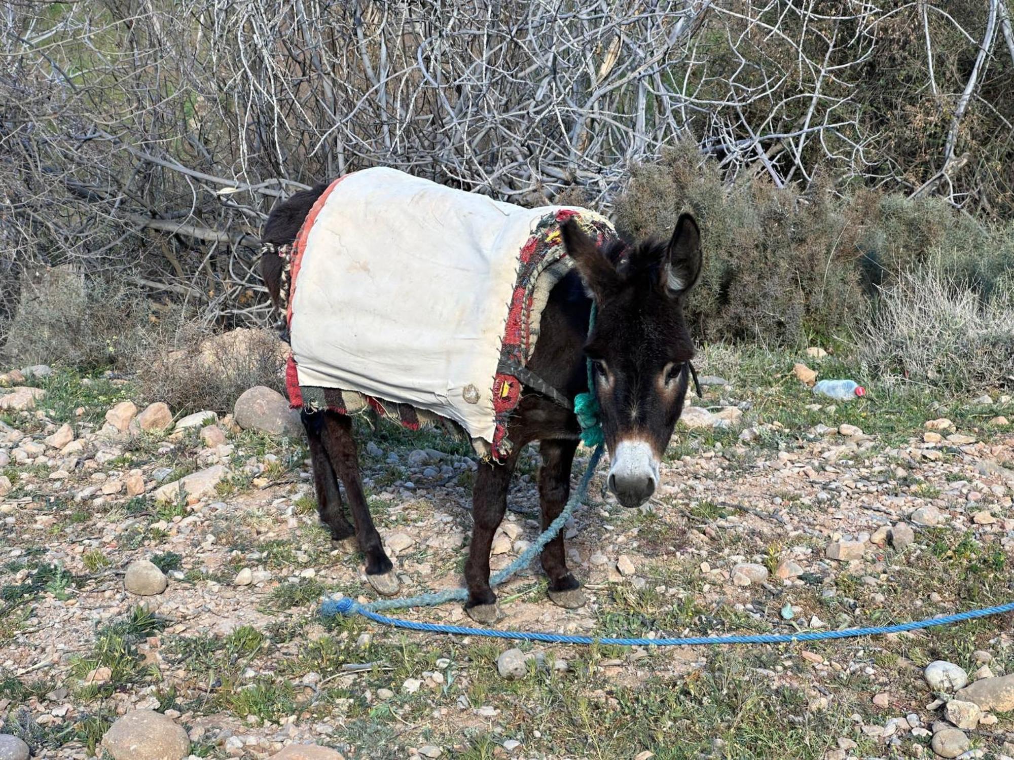 Hotel Dar Mezyana Dades Aït Idaïr Exteriér fotografie